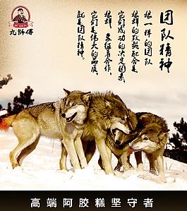 團隊海報