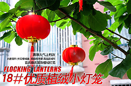 燈籠海報