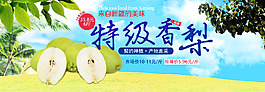 特级香梨