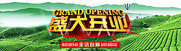 茶叶描述