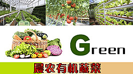 有機(jī)蔬菜