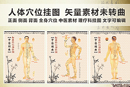 人體穴位掛圖 中醫掛圖 理療科圖片