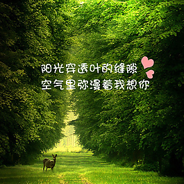 童話森林背景圖片