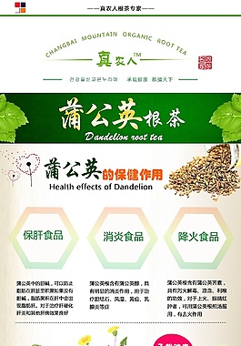 蒲公英茶