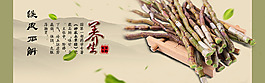 海報展示 鐵皮石斛中國風(fēng)