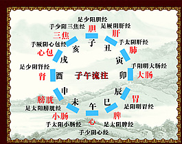12时辰中医图图片