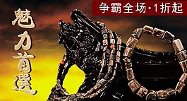 魅力首选