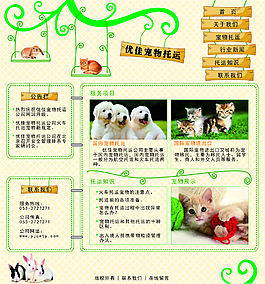 漂亮炫目平面設(shè)計(jì)海報