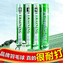 羽毛球直通車 羽毛球