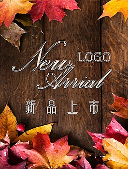 新品上市