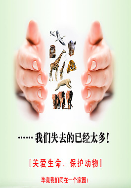 天貓淘寶公益海報