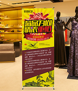 重陽節(jié)送菊花展架圖片