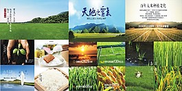 五常大米背景墻展板