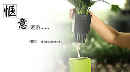 綠植宣傳海報(bào)