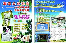 寵物宣傳單