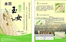 水果玉米  玉米海報