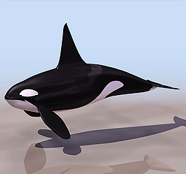 大型海洋生物 鲸鲨 海王类