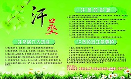 汗蒸房