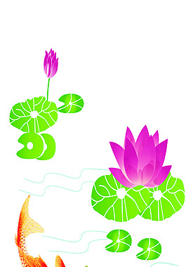 荷花锦鲤