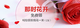 情人節(jié)玫瑰