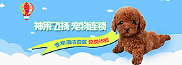 寵物洗澡