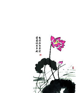 花卉設(shè)計(jì)
