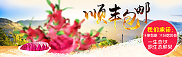 钻展图焦点图