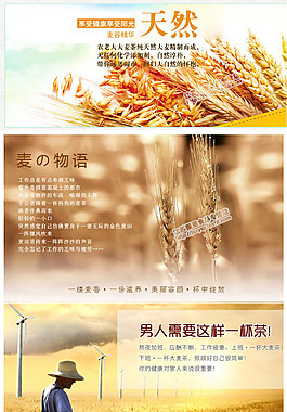 大麥茶詳情頁(yè)