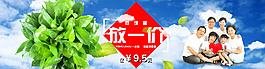 绿萝特价海报