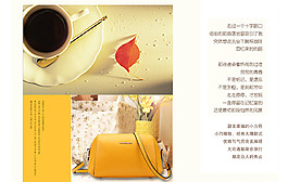 簡(jiǎn)潔 大牌時(shí)尚女包 直通車 海報(bào) 專題
