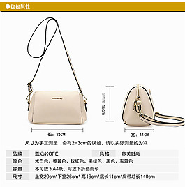 簡(jiǎn)潔 大牌時(shí)尚女包 直通車 海報(bào) 專題