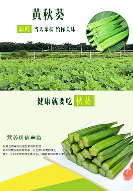 秋葵詳情頁(yè)