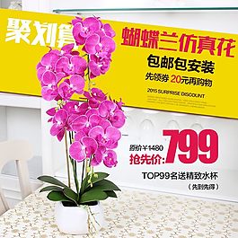 盆栽直通車主圖