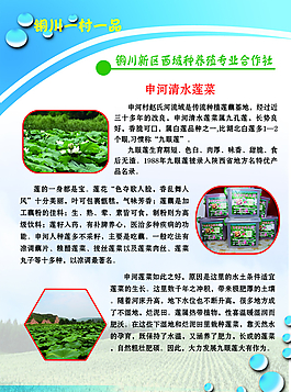 合作社展板圖片