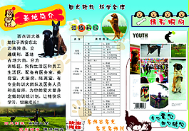 寵物犬飼養(yǎng)宣傳單圖片