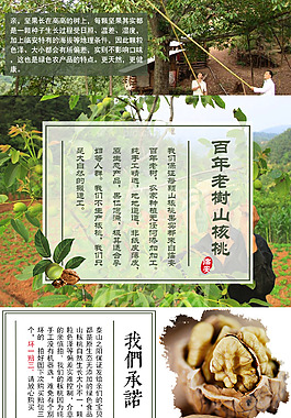 山核桃詳情頁