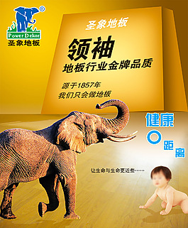 圣象地板宣传