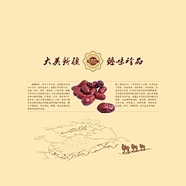 新疆禮物和田紅棗