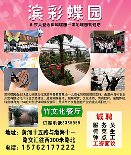 蝴蝶園單頁海報圖片