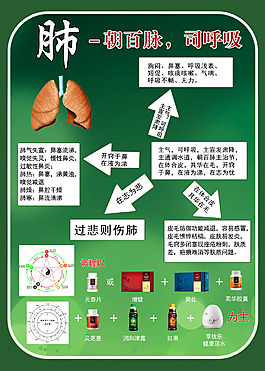 無限極五臟分析圖
