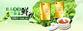 茶葉海報