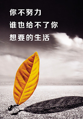 企業(yè)文化