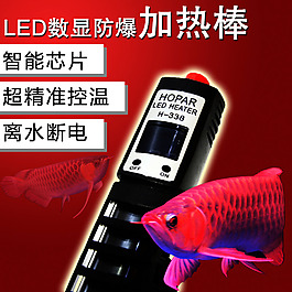 寵物用品主圖