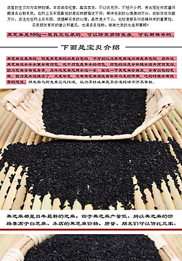 黑芝麻詳情介紹
