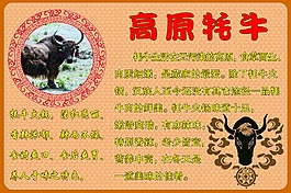 牦牛火鍋