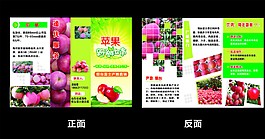 蘋果3折頁圖片