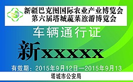 博覽會(huì)通行證