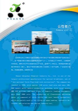 公司簡介展板設(shè)計(jì)圖片