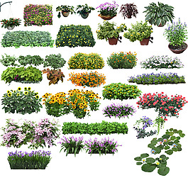 花草效果圖