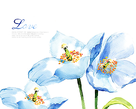 藍(lán)色水彩花卉